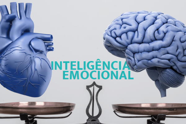 Como desenvolver a inteligência emocional para lidar com as questões do dia a dia